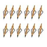 Hunting Broadheads, 12PK 3 Blades Archery Broadheads 100 Grain Screw-in Arrow Heads Arrow Tips for C