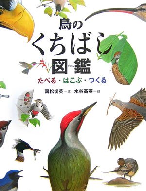 鳥のくちばし図鑑 たべる はこぶ つくる ちしきのぽけっと4 国松 俊英 水谷 高英 本 通販 Amazon 鳥のくちばし図鑑 たべる はこぶ つくる ちしきのぽけっと4 国松 俊英 水谷 高英 本 通販 Amazon