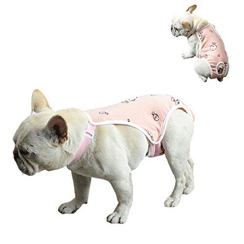 Msy yien ���p �����p���c �����p�i �֗� ���o���� �U�� ��� ���̔A���֑΍� ���p ����� ���o�� ���K�ŏ_�炩�� ���� �����p���c (�s���N, L)