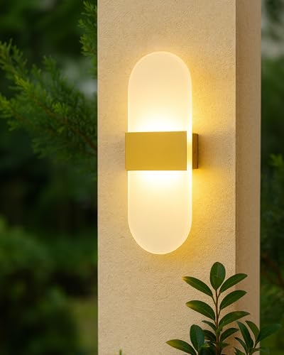 Homesake® Modern LED Acrylic Wall Light for Living Room | Frosted Panel Sconce Vertical Panel Wall Mounted – Warm White, Indoor Decorative Lighting, (Oval, Gold)