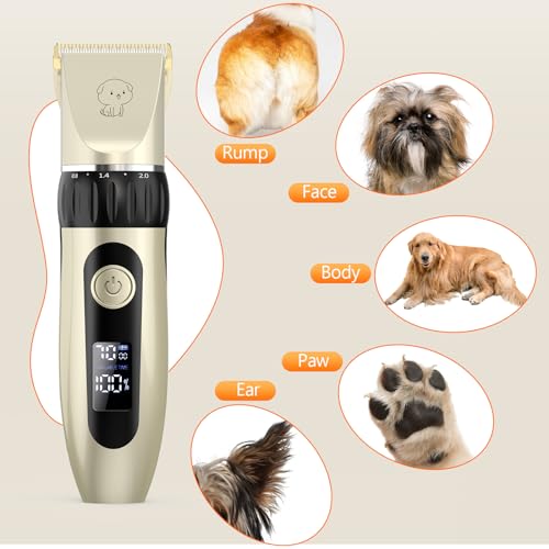 YAZEKY Premium Maquina Cortar Pelo Perros,Bajo Nivel de Ruido Cortapelos Profesional para Perros,Cortapelos para Mascotas Impermeable Todo el Cuerpo Lavable Inalámbrico Recargable (Oro) - imagen 5
