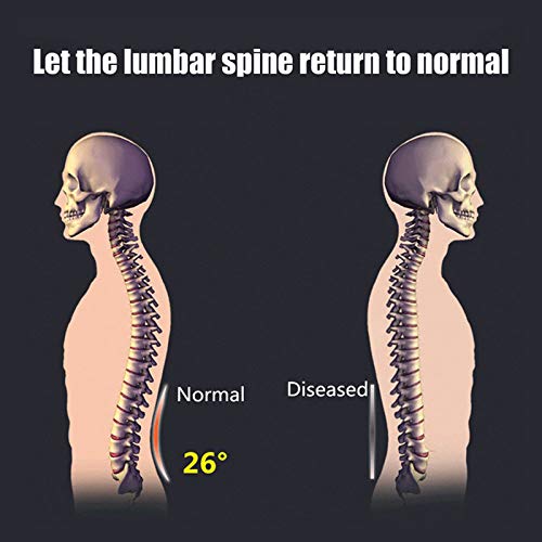 Andoer Maca de massageador de costas Equipamento de alongamento de ginástica Apoio lombar companheir