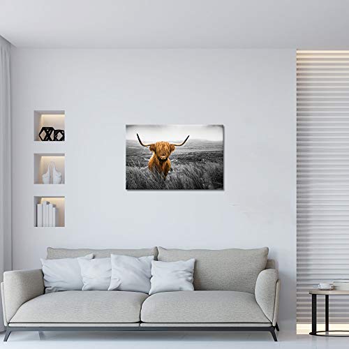 Klvos Texas Longhorn Wall Art Black And White Farm Animal Highland Cattle Canvas Picture Farmhouse Prints Photo Paintings Modern Home Decoration Giclee Artwork Wood Frame Gallery Wrapped 24X36Inch #TOP3