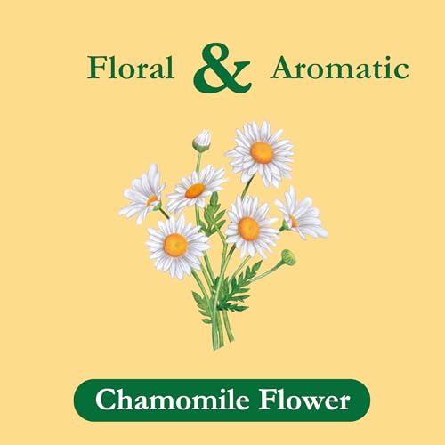 Tadin Chamomile Tea, Herbal Tea, Caffeine Free Tea, Tea Bags Individually Wrapped, 24 Tea Bags Per Box, Pack of 6