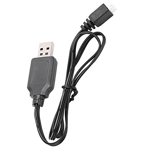 Domary Chargeur à Douille USB Lithium Batter