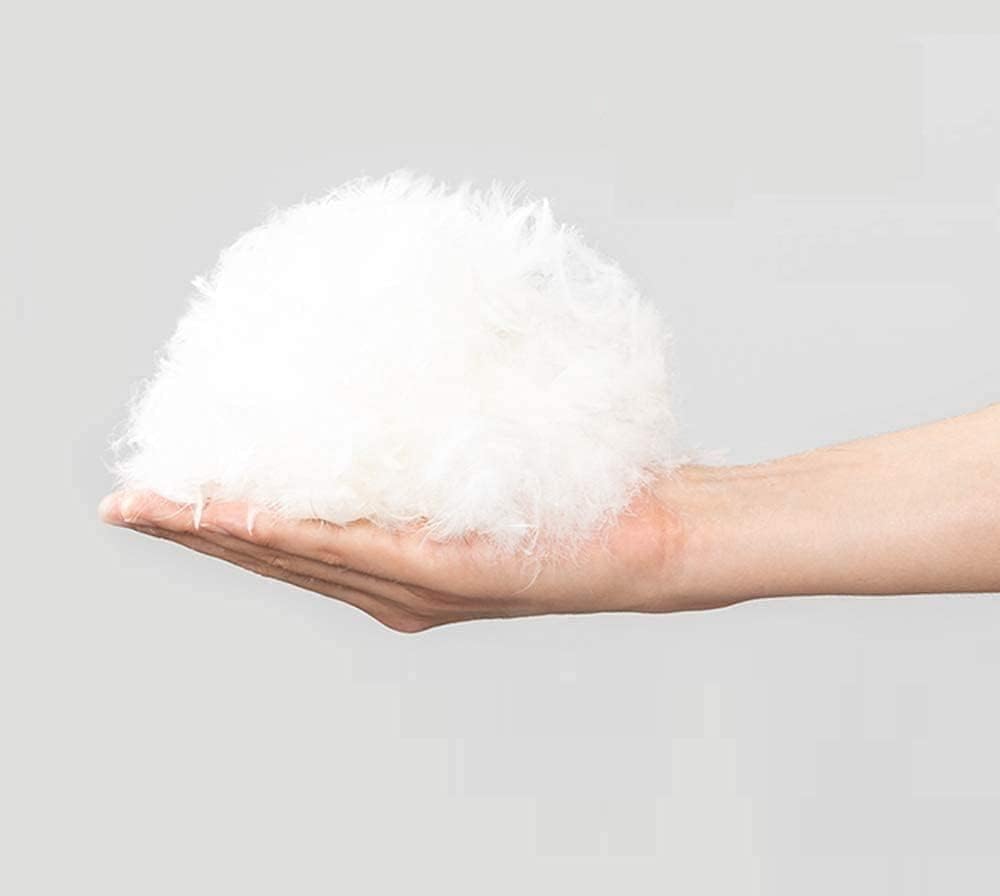 3 PC Stripe Box Stitched Comforter Set, 100% Natural Cotton Bedding Comforter with 2 Pillowshams Twin/Twin XL-Hot Pink Stripe Soft Down Quilted All Season Lightweight Duvet Insert 500 GSM