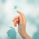 太陽よりも眩しい星