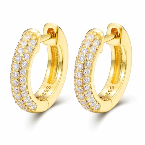 Iced Out Hoop Earrings 925 Sterling Silver D Color VVS Moissanite Huggie Cartilage Cuff Hypoallergenic Luxury Fashion Round Circle Silver Gold Hoop Earrings For Women