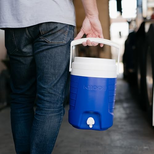 Portable Electric Beverage Cooler