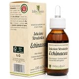 Erbecedario - Tintura Madre Echinacea, Integratore Difese Immunitarie Adulti, Estratto Naturale Immunostimolante, Benessere Delle Vie Respiratorie E Corpo, 1 Flacone 100 ml