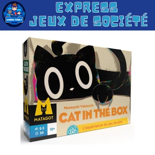 Test Express : Cat in The Box &ndash; Un jeu de plis f&eacute;linement malin ?