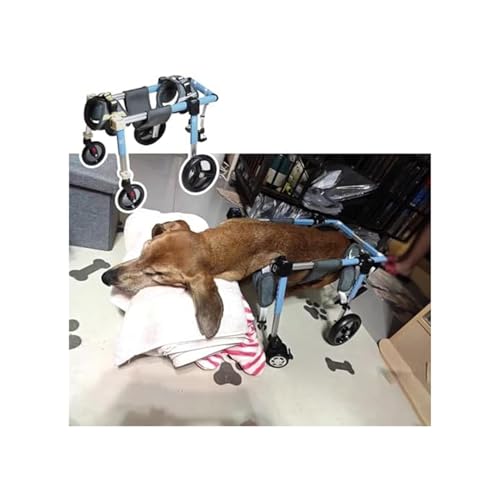 Dog Hip & Joint Support