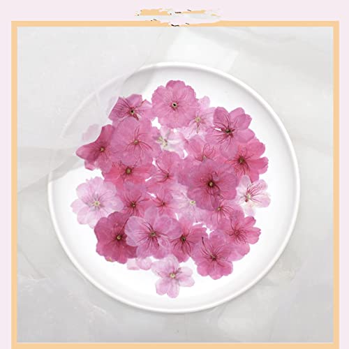 Flores secas prensadas mixtas para manualidades 60 pcs miniatura 1