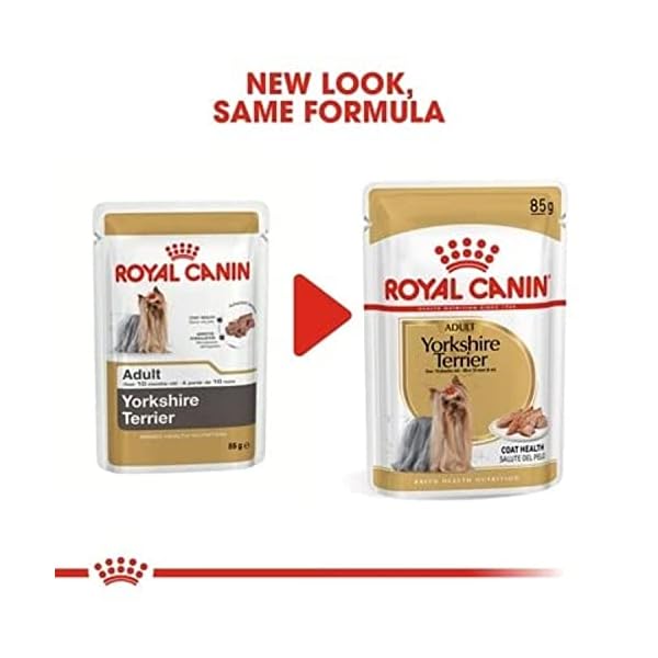 Royal Canin Yorkshire Terrier Adult | 12 x 85 g | Nassfutter für ausgewachsene Hunde im Frischbeutel | Ab dem 10. Lebensmonat | Zur Unterstützung von Fell und Stuhlqualität – Bild 10