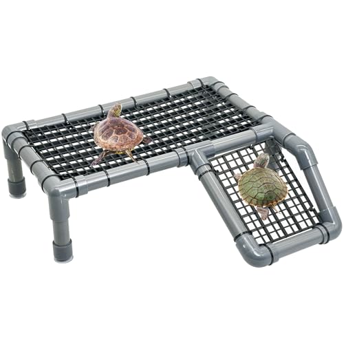 Fhiny ^[goXLOvbgtH[A঒ޓoRX[v JhbN JpoXLOGA J ׂb^NANZT[ gJQhhJ̑