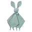 Green Bunny