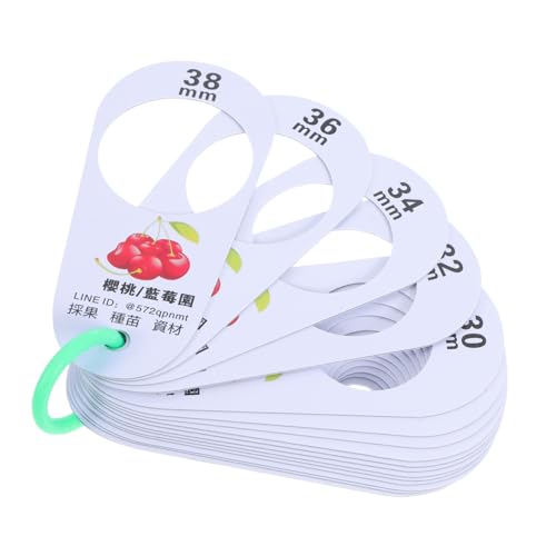 TIDTALEO �x���[�ʌa�����K ���t�� �v���X�`�b�N�� �t���[�c�a�v���c�[��