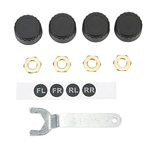 Aqxreight TPMS Reifendrucküberwachungssystem mit 4 Sensoren