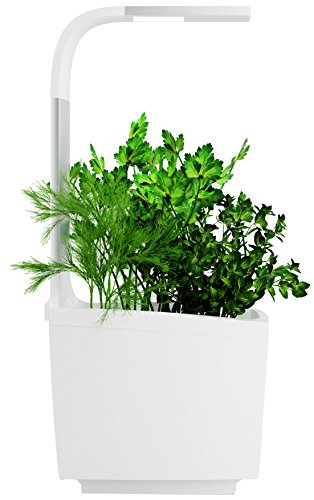 Tregren T3 Potager d'intérieur Connecté 3 plantes, Kit prêt à pousser et Jardinière Autonome pour herbes aromatiques, petits légumes, fleurs - Cultivez avec votre application smartphone - Blanc Tregren T3 Potager d'intérieur Connecté 3 plantes, Kit prêt à pousser et Jardinière Autonome pour herbes aromatiques, petits légumes, fleurs - Cultivez avec votre application smartphone - Blanc