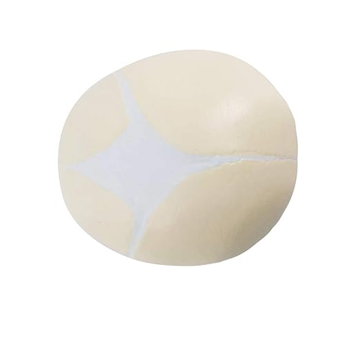 Miniatura 7 de Modelo de cráneo infantil humano, cráneo de feto de tamaño real, modelo de cráneo de bebé de anatomía para aprendizaje médico, herramienta de