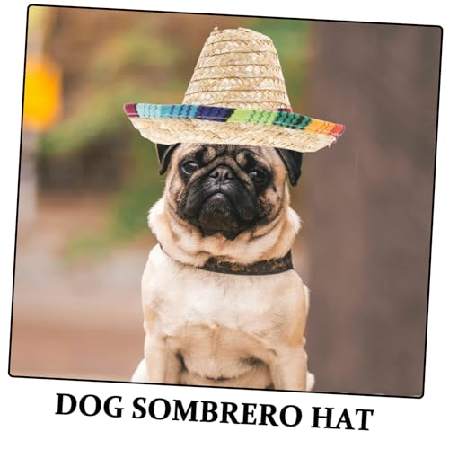 Sombrero divertido para perro disfraz fiesta miniatura 3
