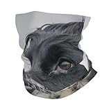FUkker