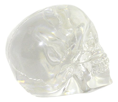 Ebros Small Clear Translucent Witching Hour Gazing Skull Statue 3.5" Long Made Of Acrylic Resin Occultic Witchcraft Shrine Cranium Decorative Figurine #TOP3