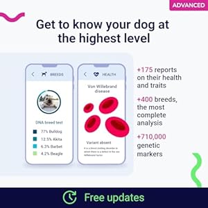   Koko-DNA-Test-for-Dogs-Advanced-175-Breeds-Health-Traits-reports-Updates-at-no-cost