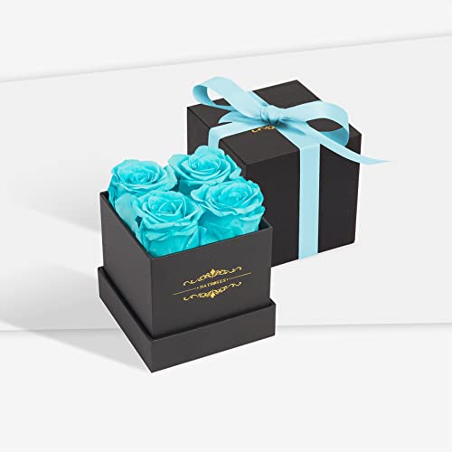Natroses Preserved Roses In A Box That Last Up To 3 Years, Long Lasting Roses Gifts For Her,Valentines Day Gifts, Blue-2 #TOP4