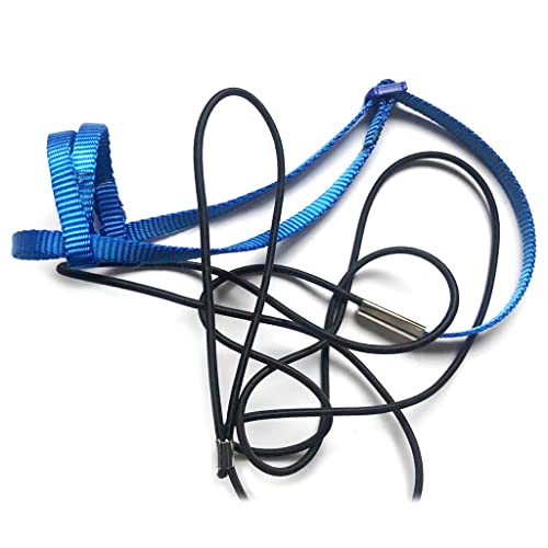 パロットバードハーネスリーシュアウトドアアクティビティフライングトラクションストラップバンド小パラキエット用飛行ロープ