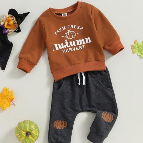 Baby Boy Fall Clothes Toddler Boy Halloween Outfit Patch Pumpkin Sweatshirt Long Sleeve Shirt Top (Brown, 2-3 Years)2