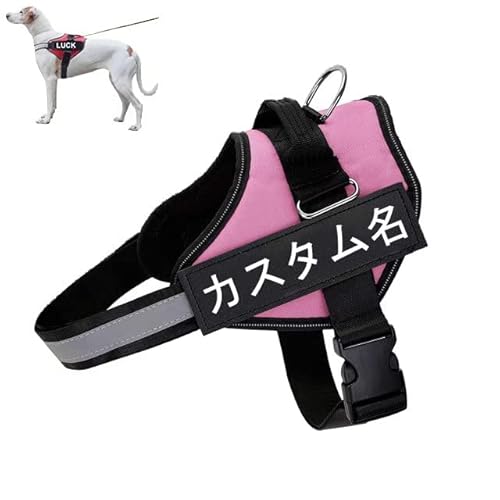  n[lX O nht JX^}CY ybg ߉\ U o P 锽   Dt OEA捏\ x[VbN l[v[g ^ ^ (M, sN)