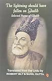 Lightning Should Have Fallen on Ghalib: Selected Poems of Ghalib