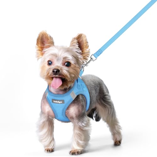 Image of rabbitgoo Dog Harness Small Sized and Leash Set, Step-in Puppy Pet Vest