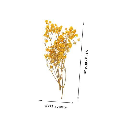 EXCEART 5 Conjuntos De Flores Secas Imortalidade Flores Naturais Feitas À Mão Plantas Flores Secas
