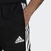 adidas Men's Standard Tiro 19 Pants, Black/White, Small