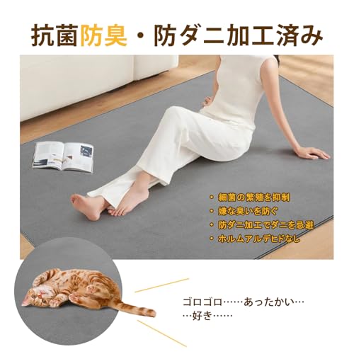 Healife カーペット 1.5畳 ラグマット ラグ 洗える 130x185 cm 絨毯 ホットカーペットカバー グレー 滑り止め付き オールシーズン 床暖房 フランネル 抗菌防臭 防ダニ じゅうたん さらフワ触感 おしゃれ 北欧 リビングマット [5]