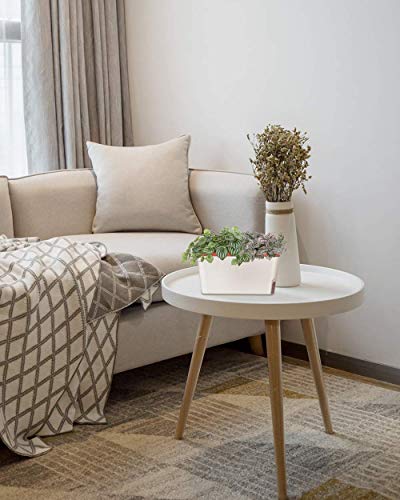 Gardenbasix Self Watering Planter Rectangle Window Box Set Of 6 For Indoor Plants Home Garden Modern Decorative Flower Pot For All House Herbs Succulents (6, Clay) #TOP5