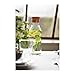 Ikea 365 (34 Oz) Clear Glass Carafe With Cork Stopper, Ideal For Hot and Cold Water Pitcher, Tea/Coffee Maker, Iced Tea, Beverage Pitcher As Well As for Serving Wine