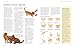 Complete Book of Cats: A Comprehensive Encyclopedia of Cats with a Fully Illustrated Guide to Breeds and Over 1500 Photographs
