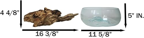 Miniatura 6 de Ebros Gift Madera flotante balinesa de madera gamal natural hecha a mano con vidrio fundido soplado a mano para servir frutas, grande de 14 pulgadas