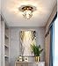 BNTCTC Corridor Semi Flush Mount Ceiling Light, Crystal Glass Lampshade Gold Ceiling Lamp G4 Home Indoor Porch Light Fixture Used for Decorative Lighting