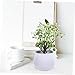 GOOHOCHY Artificial Potted Plant Faux Flowers and Bonsai Design for Home Office and Kitchen Decor Realistic Greenery for All Spaces