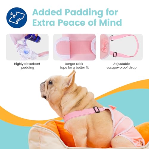 Avont 3 Pack Frenchie Dog Diapers Female, Washable Reusable Girl Doggie Pants for Period Heat Cycle, Full Body Cover Onesie with Adjustable Straps -Pink/Purple/Blue L - Thumbnail 3