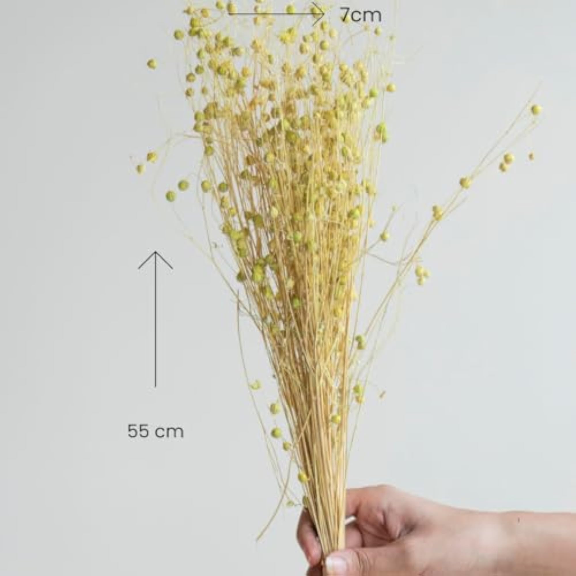 Gold Lino Grass for Eco-Friendly Home Decor