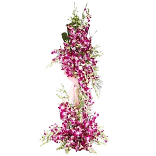 Floralbay Valentine's Day Special Fresh Flowers Long Tower Arrangement of 50 Purple Orchids (Bunch of 50)