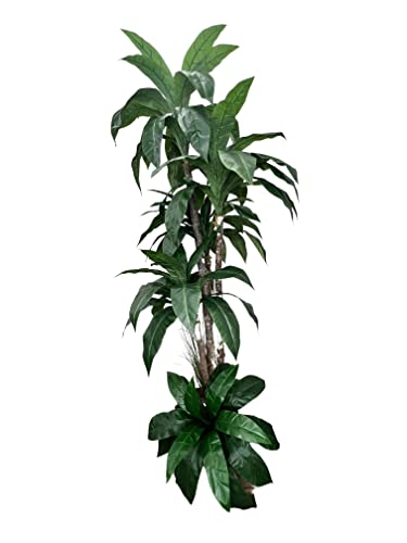Hand-Made 6.5' Tropical Cradle Artificial Tree With Ethically Sourced Real Wood Trunks | Green | Cypress & Alabaster #TOP6
