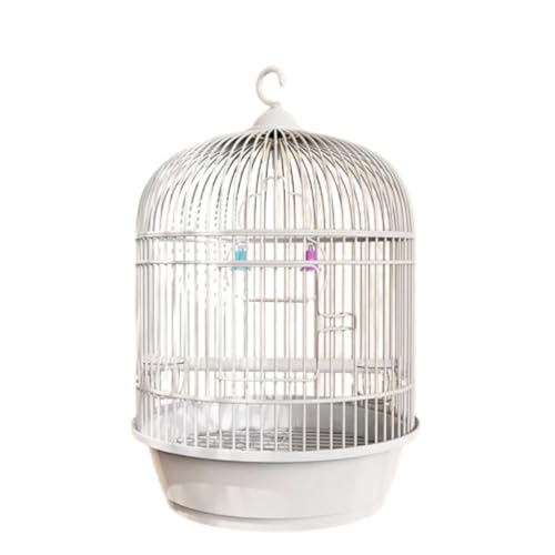 BQQB IJCR P[W ی^  _F GT o[h nht   Ƃ肩 CeA  ^    Zbg CR ړ  䟭 ZLZCCR ȃXy[X ꂩ񂽂 (23*23*3