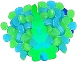 Idéal pour décorer un chemin, une terrasse, une pelouse, un jardin, des plantes en pot, une terrasse, une pelouse, une piscine et un étang. Créez un paysage unique avec ces galets lumineux et profitez d'un paysage magnifique la nuit