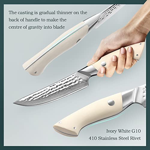 Damast Steakmesser Set von HEZHEN mit 4 Teilen und 67 Lagen